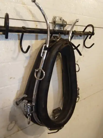 Item # 626 ..... 15" collar and Stainless Steel Show Quick Attach Hames with Leather Tugs - like new...