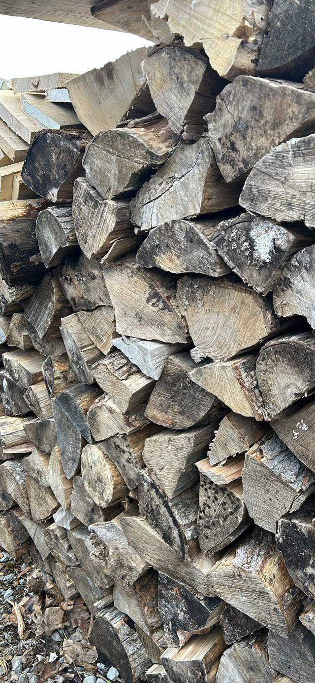 Firewood in Fireplace & Firewood in Kawartha Lakes