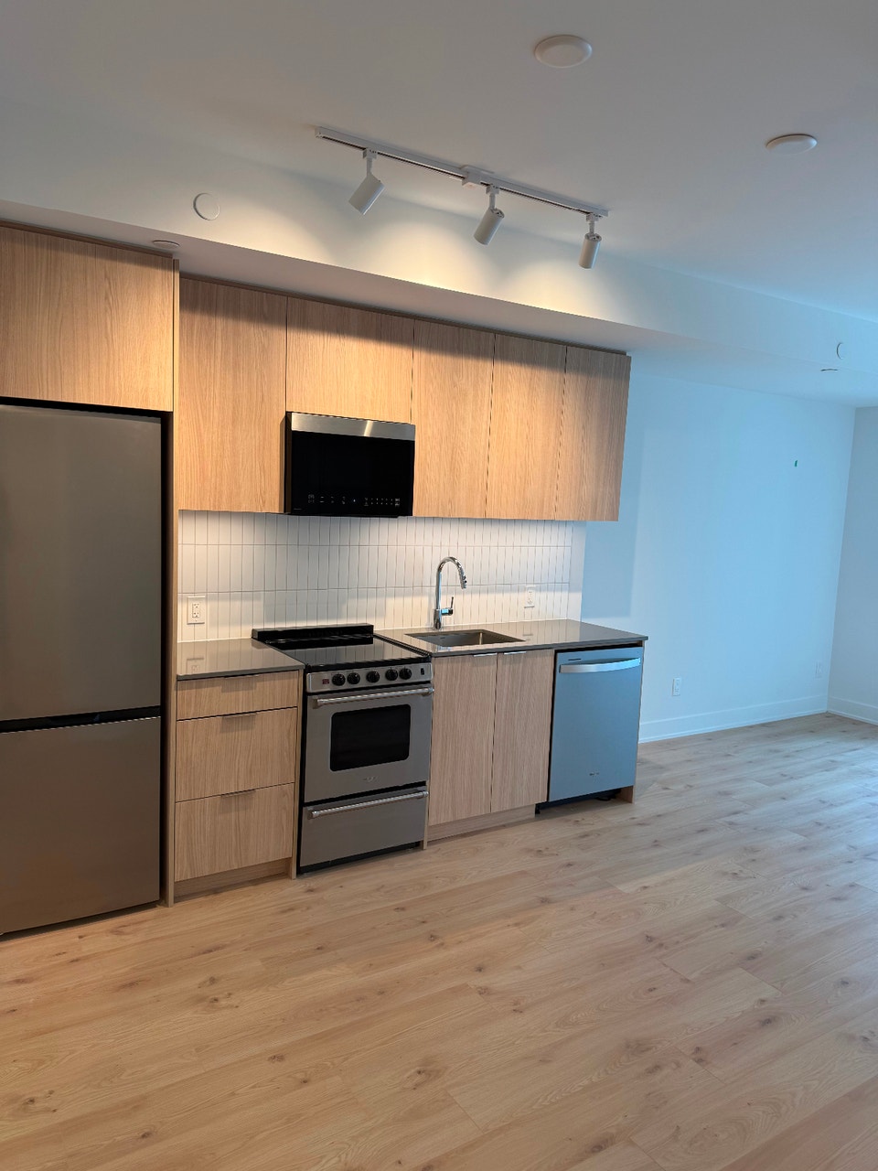 Brand new and Luxury 1 Bedroom plus Den for rent 3