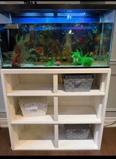 aquarium , View more