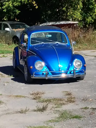 BEAUTIFUL BUG THAT WAS RESTORED YEARS AGO. WELL MAINTAINED, DISC BRAKES, DROPPED SUSPENSION FREEWAY...