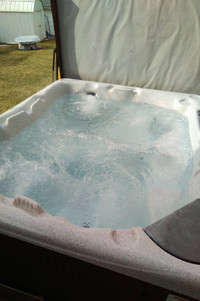 Beachcomber hot tub for sale