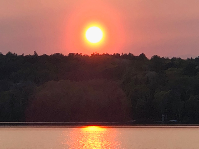 Chill Cottage Vibes in Ontario - Image 3