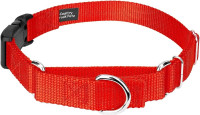 Heavy-duty Collar - Country Brook Petz - FREE with $100 Purchase