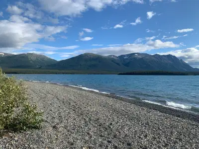 Professional working mom looking for a house /townhouse to rent for myself and my 3 teenagers long t...