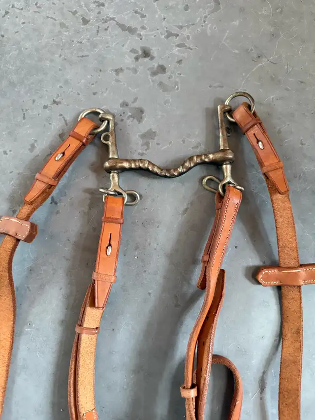 Bride de Cheval en cuir et corde d’attache in Equestrian & Livestock Accessories in Laurentides - Image 9