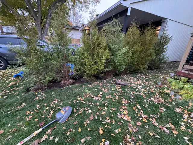 Landscaping & Hedge trimming in Lawn, Tree Maintenance & Eavestrough in Ottawa - Image 11