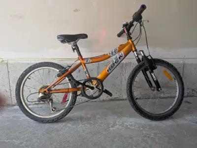 Kids mountain bike Raleigh Rock 20", View more