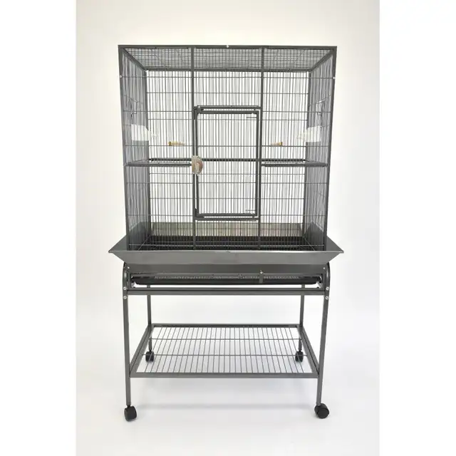 Parrot African Grey &+ Double volière XL pour perroquets in Birds for Rehoming in City of Montréal - Image 9