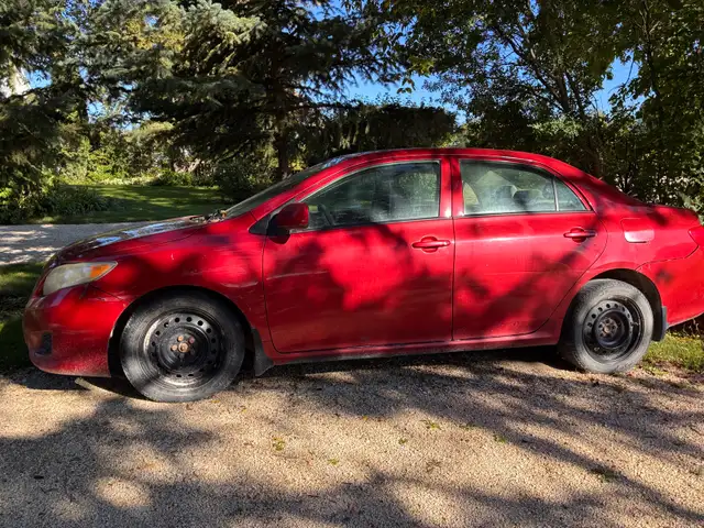 2010 Corolla 569252875108372481