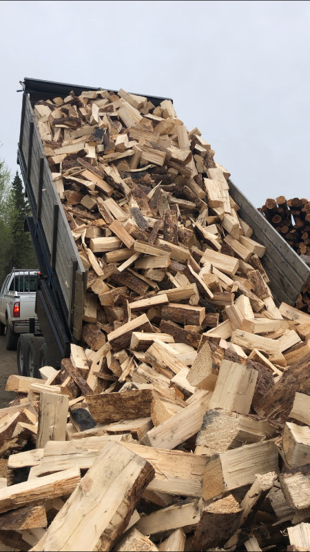 Log Truck Loads and Processed Firewood in Fireplace & Firewood in Edmonton - Image 4