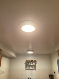 2 ceiling lamps