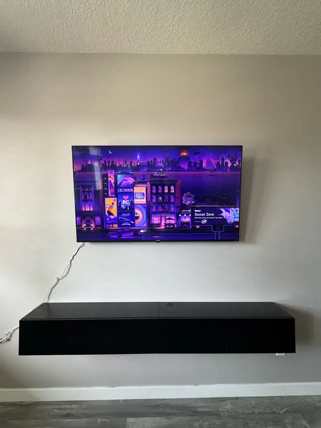 Tv mounting/ installation service 511269289486592003