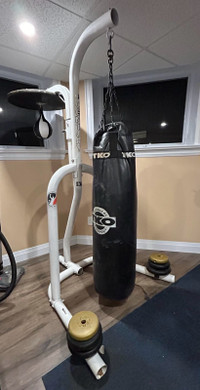 Heavy bag and speed bag