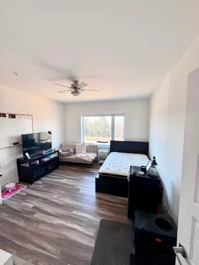 Looking for a female student or young working professional to join 2 female roommates in a 3 bedroom...