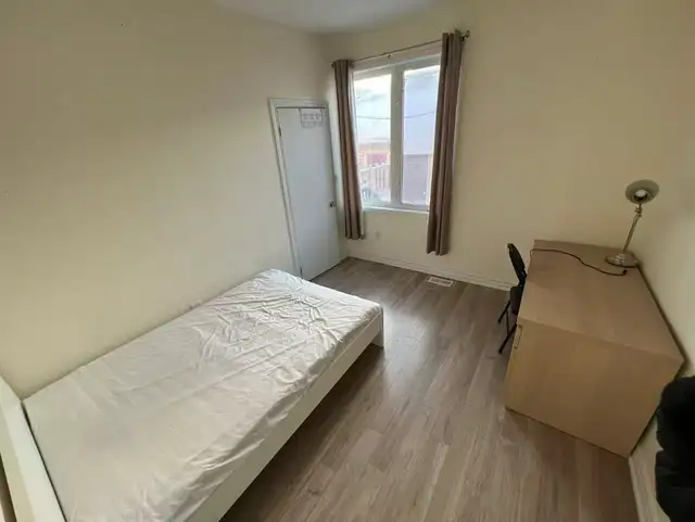 York University sun room for rent in Room Rentals & Roommates in City of Toronto - Image 3