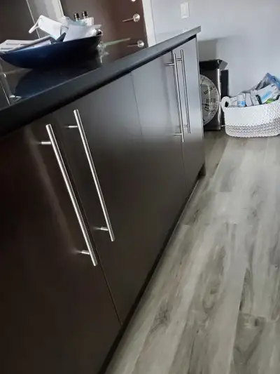 Renovating my condo kitchen - all kitchen cupboards/handles, faucet, kitchen island and granite coun...