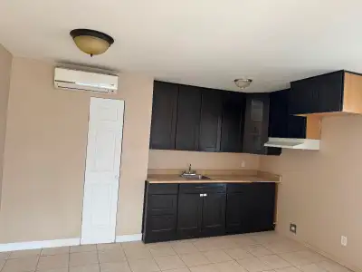 MAGNIFIQUE 3 1/2 COMPLETEMENT RÉNOVÉ À PARTIR DE 1185$/mois •Frais paint •Entrée laveuse-sécheuse •E...