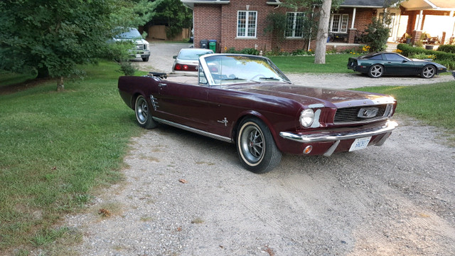 1966 MUSTANG CONVERTIBLE  in Classic Cars in Mississauga / Peel Region - Image 4