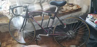 Fiori Roma Racing Bike Bicycle, View more