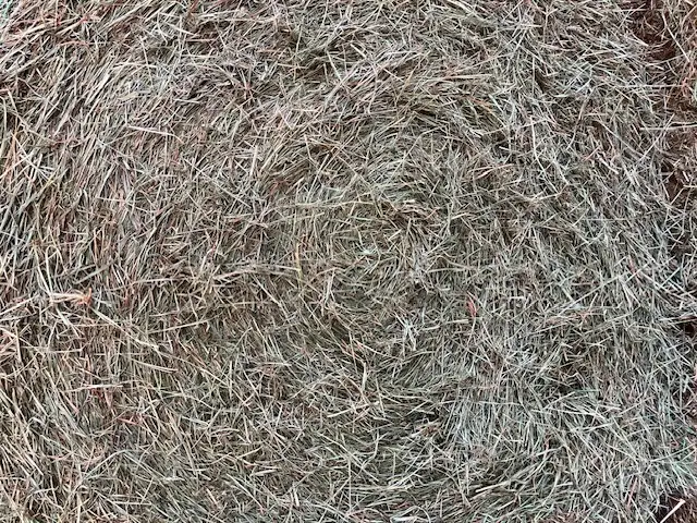 Hay for Sale in Livestock in Cranbrook - Image 4