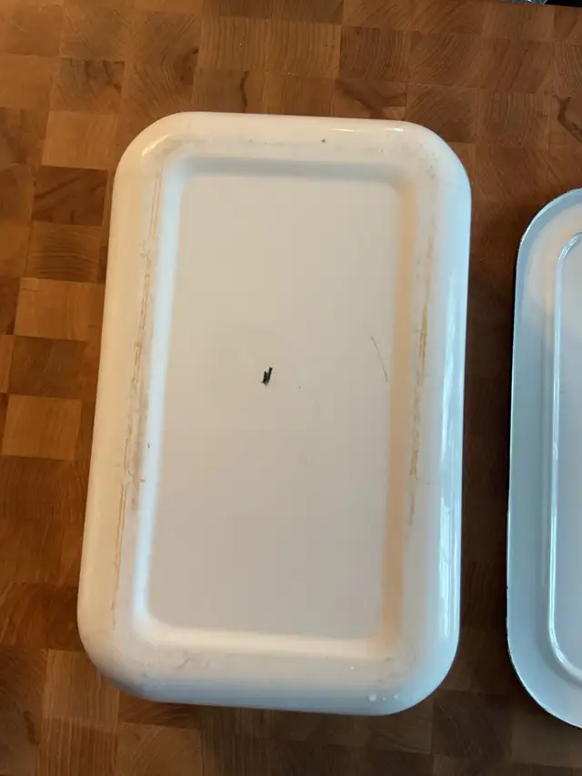 Enamel Roasting Pan with Lid489519610185666563