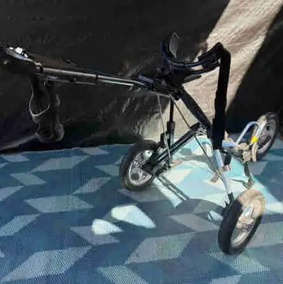 Bag Boy golf cart, View more