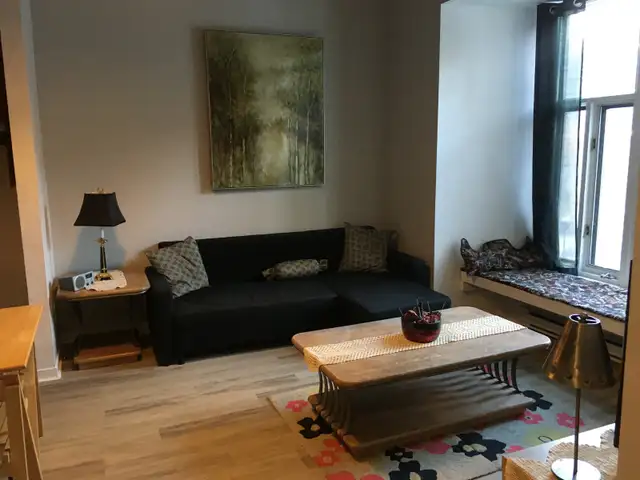 Furnished 2 Bedroom Apartment in the Plateau near Mcgill