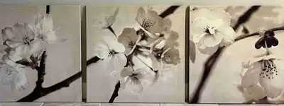 IKEA cherry blossom 3 piece canvas wall art, View more