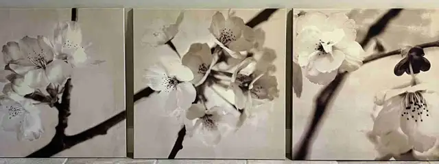 IKEA cherry blossom 3 piece canvas wall art in Home Décor & Accents in Kitchener / Waterloo - Image 2