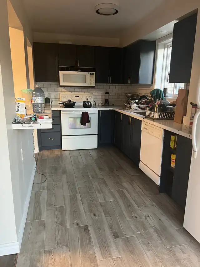 House for rent 