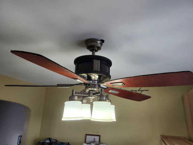 Hunter Celing  fan in Indoor Lighting & Fans in Truro - Image 2