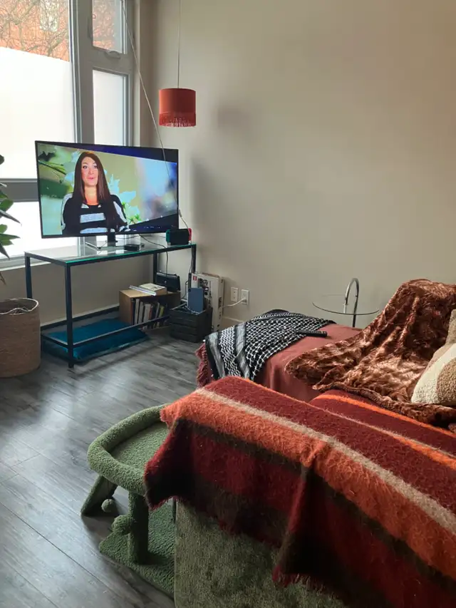 colocation hochelaga Maisonneuve 720$ in Room Rentals & Roommates in City of Montréal - Image 6