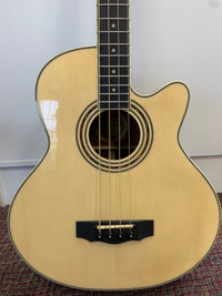 Jay Turser Acoustic/Electric Bass 