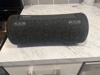 XG300 X-Series Portable Wireless Speaker