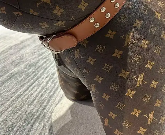 Luxury Dog-Shaped Stool – Louis Vuitton Design62863258869507122