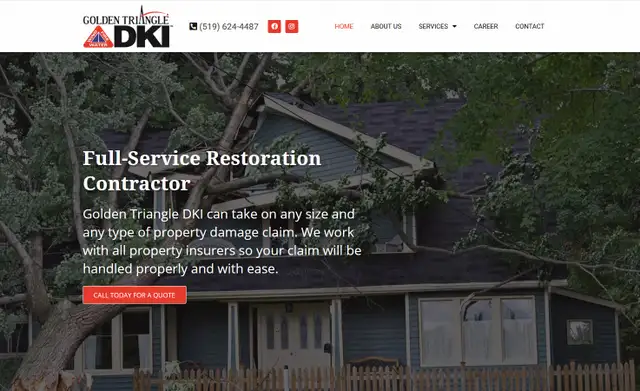 High Quality Web Design / Logos / Mobile Optimized / Content Wri555654693227089928