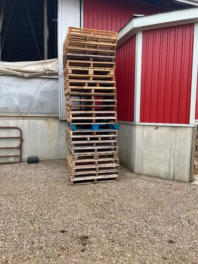 Used Pallets, View more