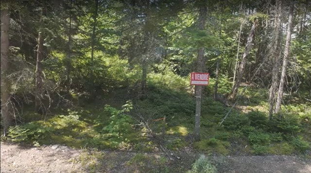 TERRAIN À VENDRE – PINE LAKE, SAINT-RAYMOND — photo 2