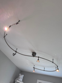 Ceiling Light Fixture