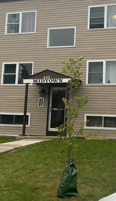 Looking for Carpenter/Handyman, View more