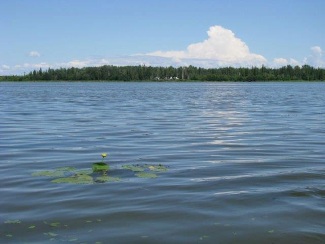 RV Lot - Lake Arnault dans Terrains à vendre  à Ville d’Edmonton - Image 2