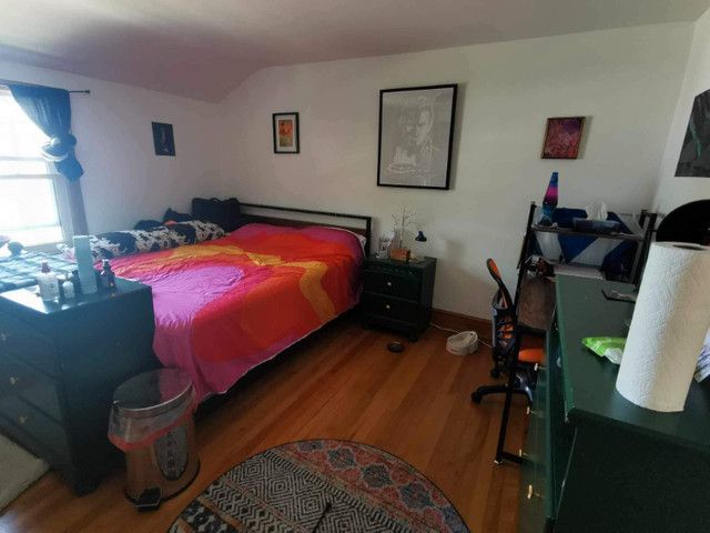 Looking for a roommate May 1st! in Room Rentals & Roommates in City of Halifax - Image 4