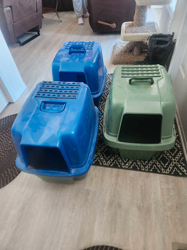  Cat Litter Boxes in Accessories in Regina