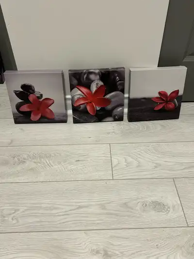 cadres décoratifs (plusieurs couleurs), View more