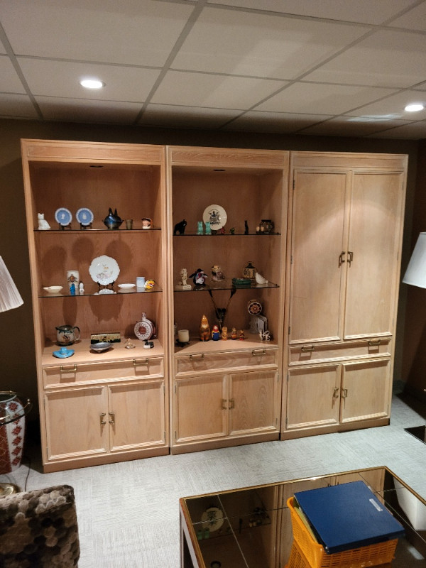 Wall Unit / Display Case in Hutches & Display Cabinets in Markham / York Region