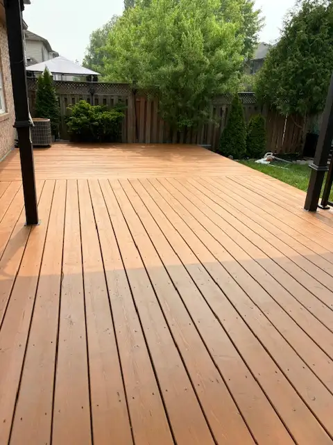 DECK&FENCE RESTORATIONS STAINING/PAINTING63860080617217124