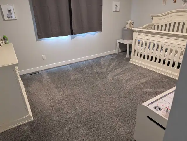 Carpet Cleaning605486184797972484
