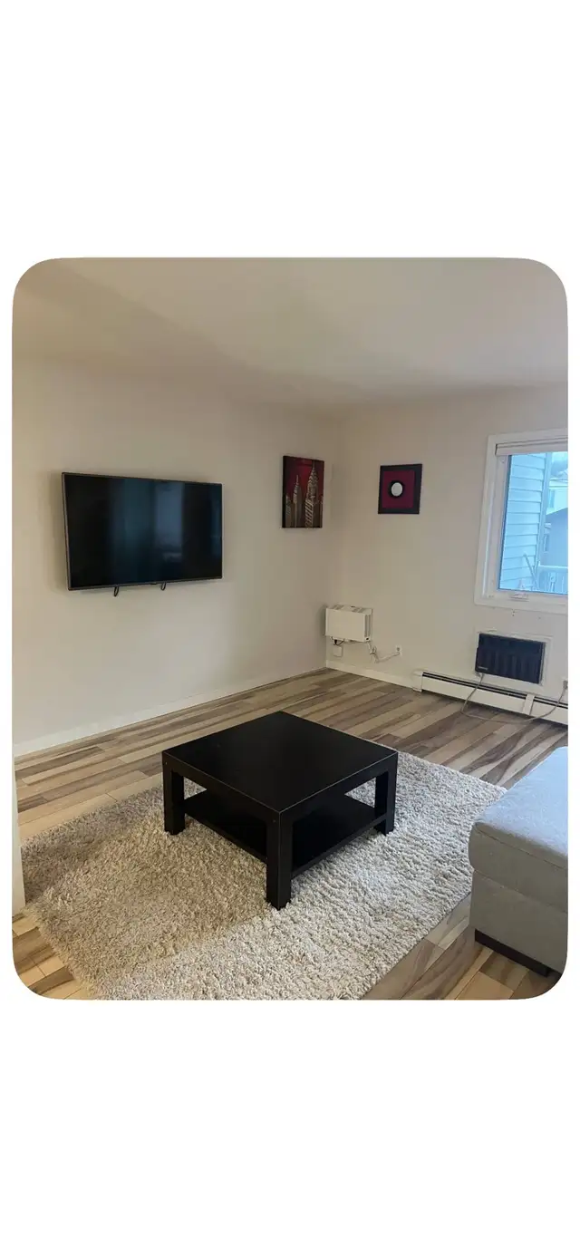 Downtown 1 Bedroom Condo for Rent for Dec 1 | Long Term Rentals ...