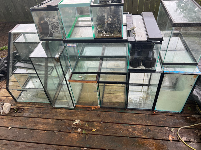 Fish tanks  in Fish for Rehoming in Leamington